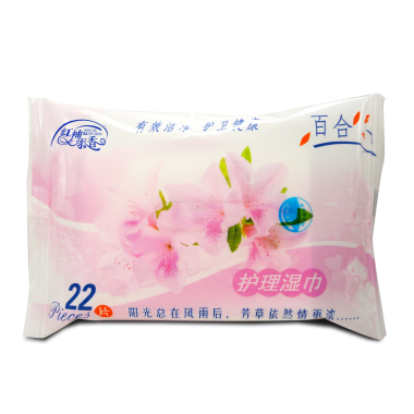 【护理保健】红袖添香系列护理湿巾22片装 雅润
