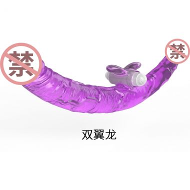 【其他情趣】双头龙阳具 取悦